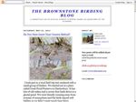 Thumbnail for The Brownstone bird...
