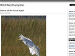 Thumbnail for Wild Westhampton