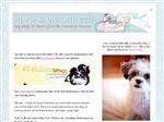 Thumbnail for iSadie Shih Tzu | S...