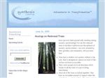 Thumbnail for Synthesis Coaching