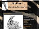 Thumbnail for Animal