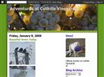 Thumbnail for Adventures At Cuthi...