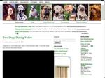 Thumbnail for Lots About Dogs
