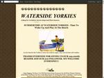 Thumbnail for Waterside Yorkies