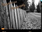 Thumbnail for WanderLost Photography