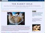 Thumbnail for the rabbit hole