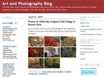 Thumbnail for Art and Photography...