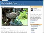 Thumbnail for Charleston Daily Photo
