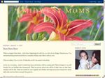 Thumbnail for Midwest Moms