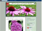 Thumbnail for Wall Flower Studio ...