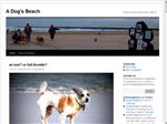 Thumbnail for A Dog's Beach