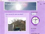 Thumbnail for Woodlands World 2