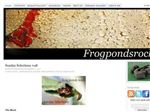 Thumbnail for Frog Ponds Rock