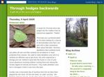 Thumbnail for Through Hedges Back...