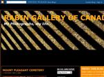 Thumbnail for rabin gallery of ca...
