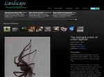 Thumbnail for Landscape Photography