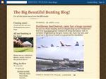Thumbnail for The Big Beautiful B...