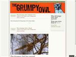 Thumbnail for The Grumpy Owl