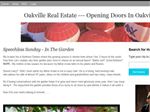 Thumbnail for Opening Doors In Oa...