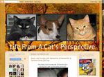 Thumbnail for Life From A Cat...