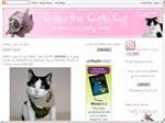 Thumbnail for Daisy the Curly Cat