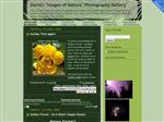 Thumbnail for David Webb Nature P...