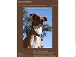 Thumbnail for dog daily photo