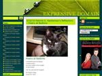 Thumbnail for Expressive Domain