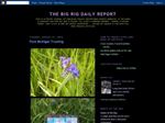Thumbnail for Big Rig Daily -Wher...
