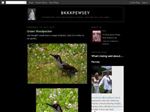 Thumbnail for BKKKPewsey Blog