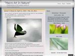 Thumbnail for "Macro Art In ...