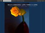 Thumbnail for nilolumauaglifethru...