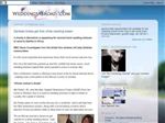 Thumbnail for Weddings Abroad - D...