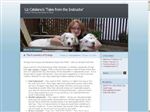 Thumbnail for Dog Training and Ca...