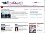 Thumbnail for The Texas Cockroach