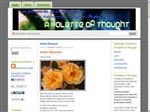 Thumbnail for Optimistic Thinking...