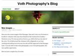 Thumbnail for Voth Photography